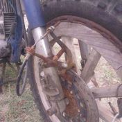 … however, beware of the counterfeits!